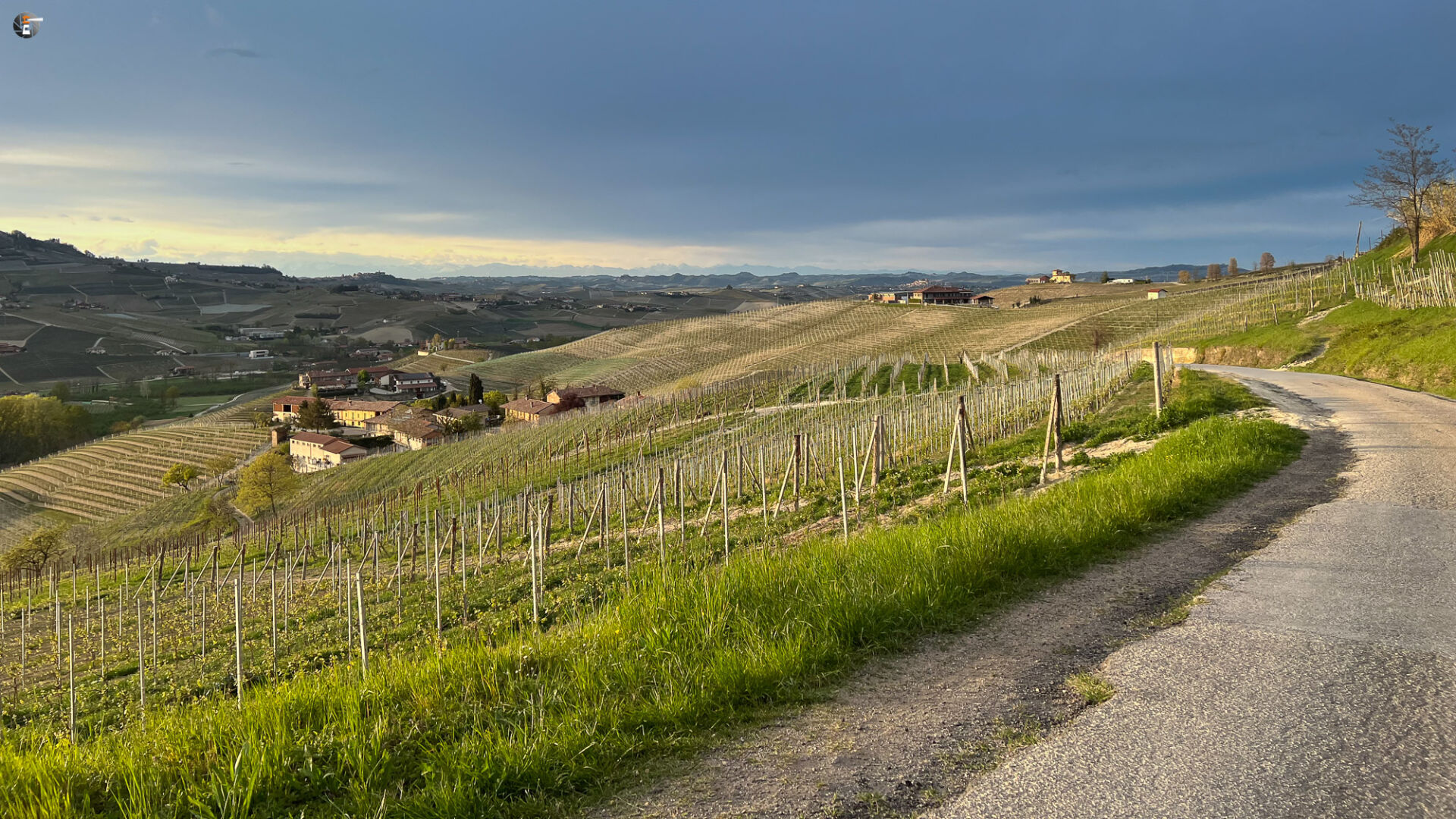 Langhe