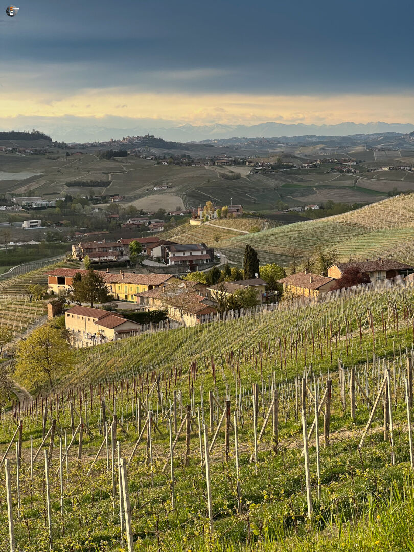 Langhe