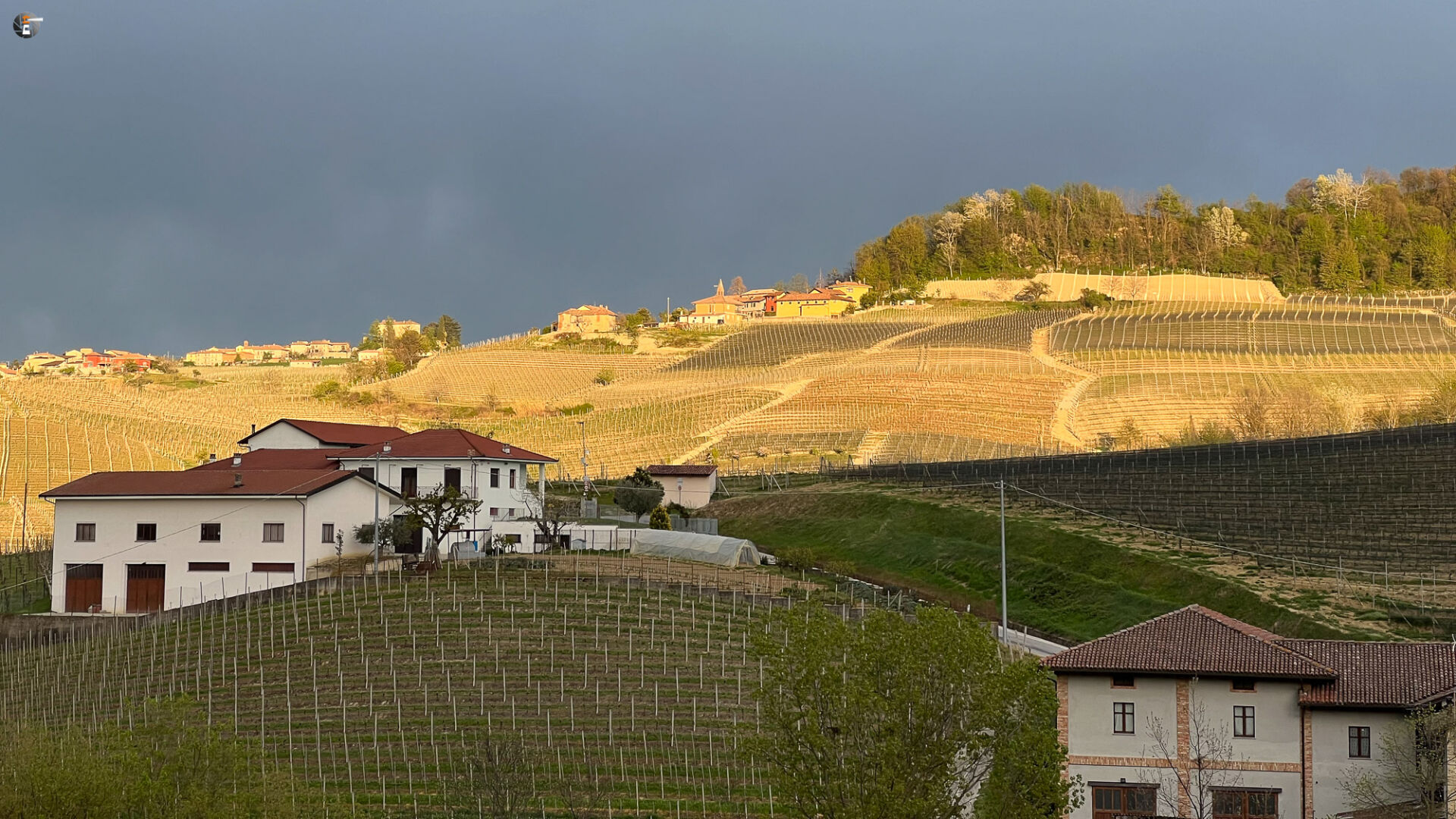 Langhe