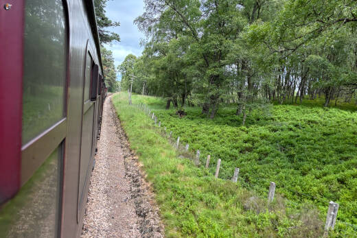 Strathspey railway