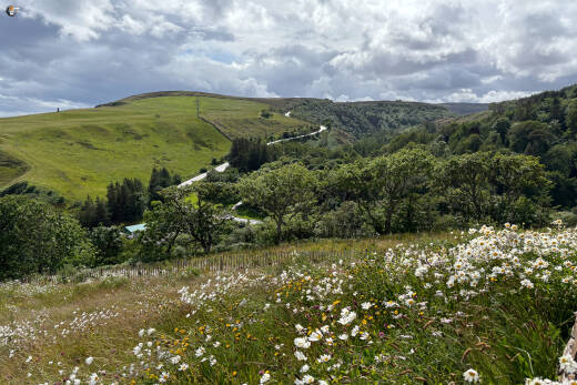 Berriedale Braes