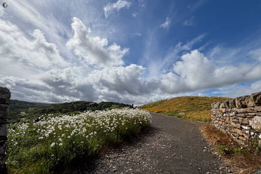 Berriedale Braes