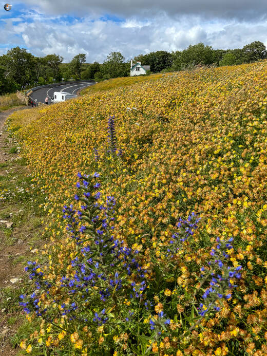 Berriedale Braes