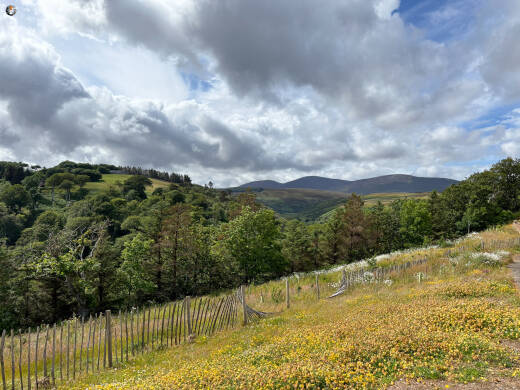 Berriedale Braes