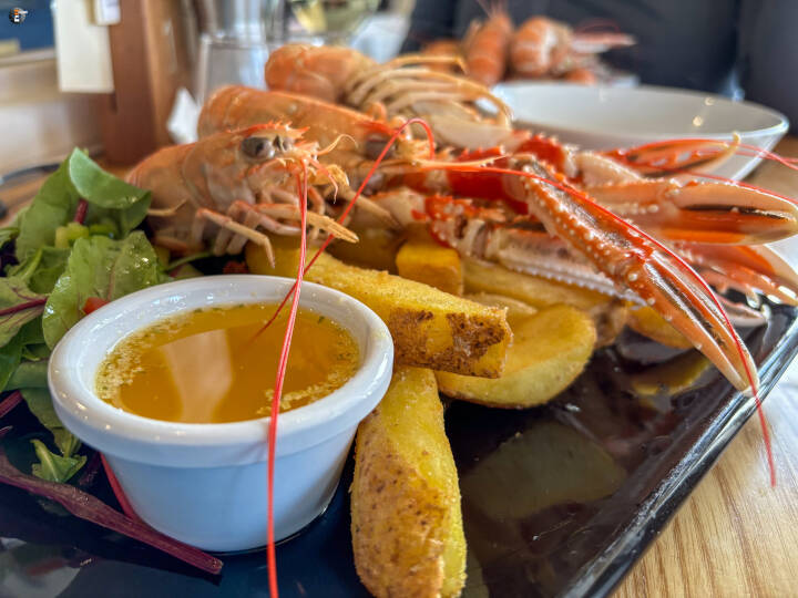 Scottish Langoustines