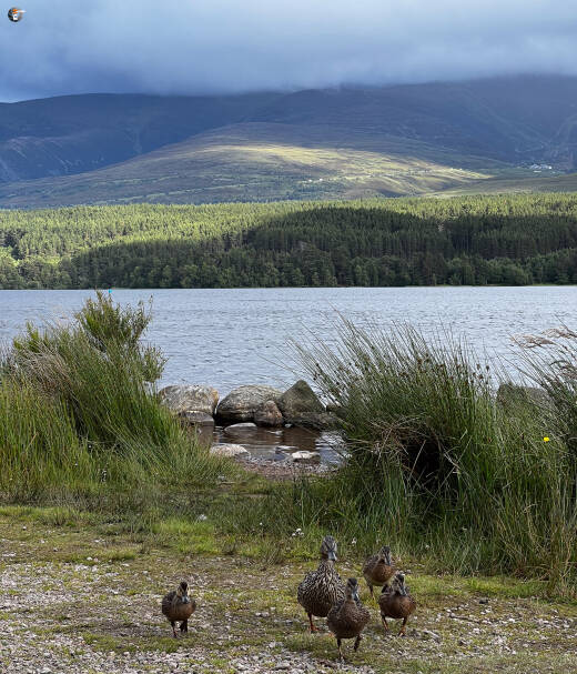 Loch Morlich