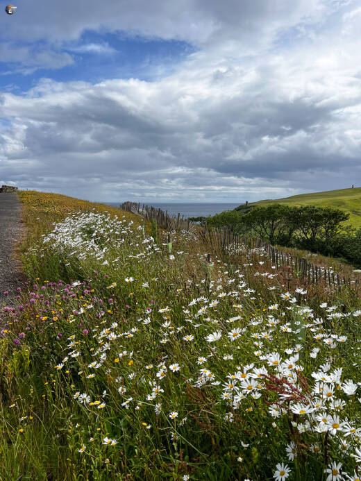 Berriedale Braes