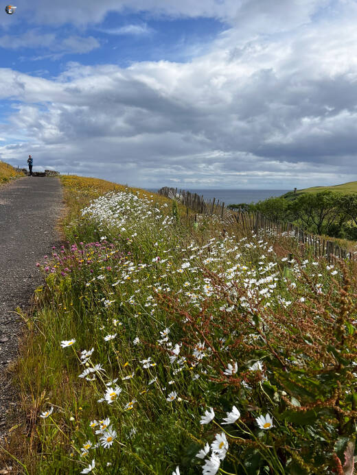 Berriedale Braes