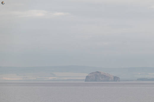 Bass rock
