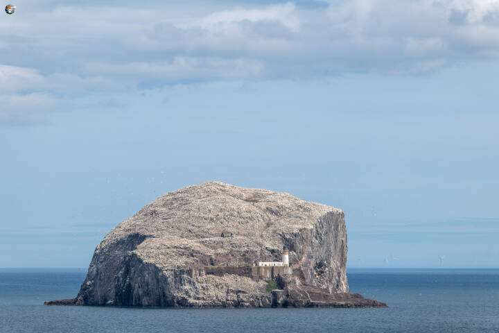 Bass rock
