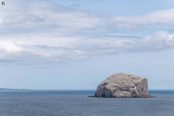 Bass rock