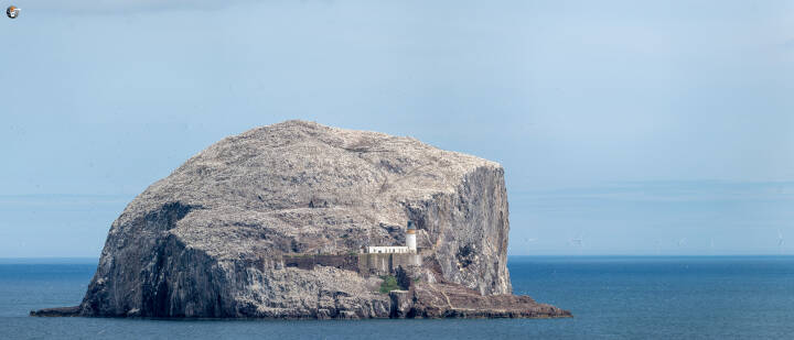 Bass rock