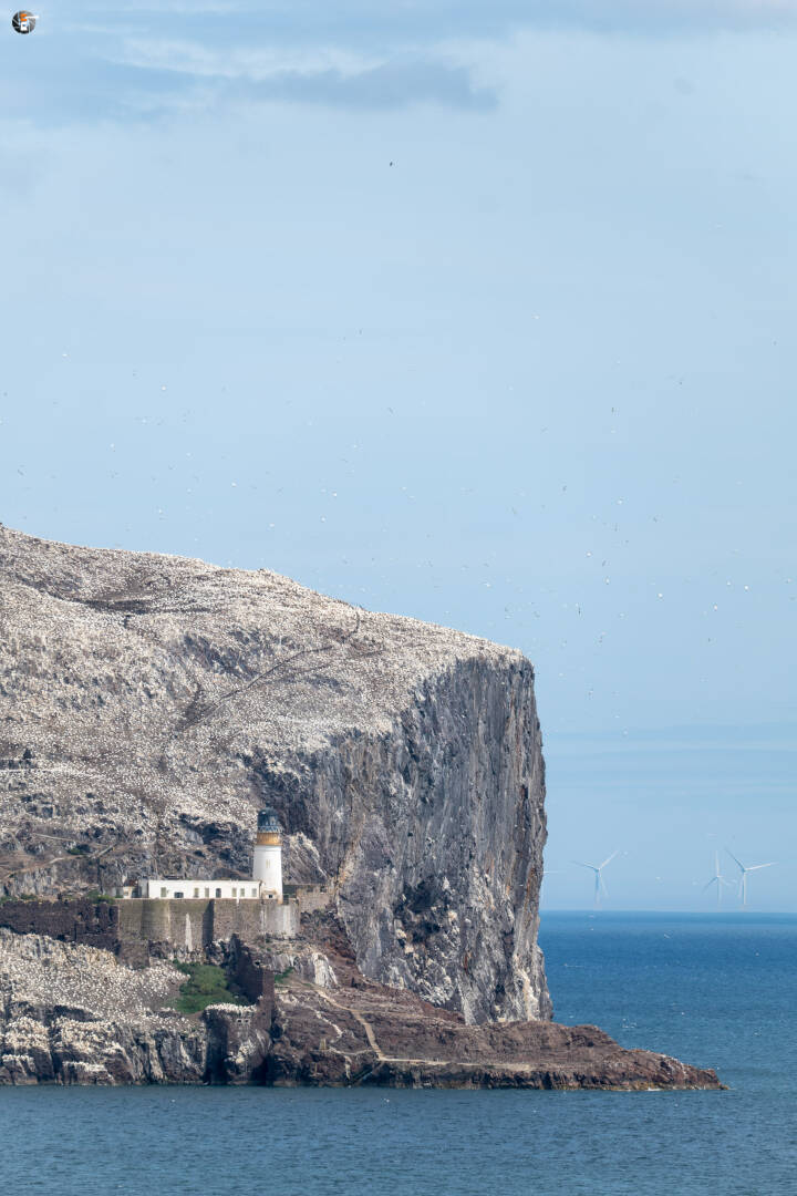 Bass rock
