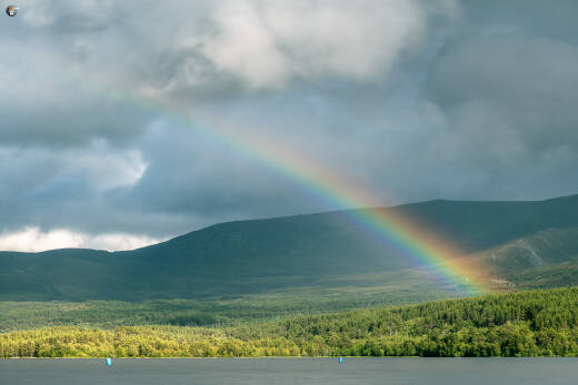 Loch Morlich