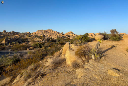 Jumbo Rocks Campground