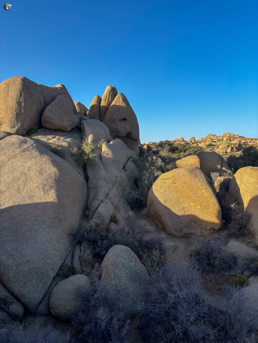 Joshua Tree National Park