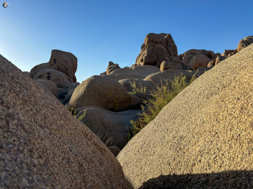 Joshua Tree National Park