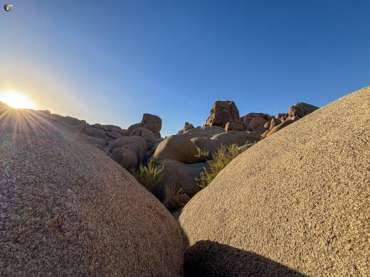 Joshua Tree National Park
