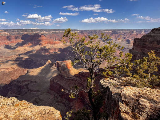Grand Canyon South Rim