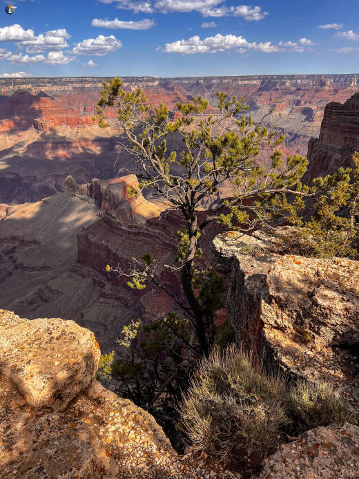Grand Canyon South Rim