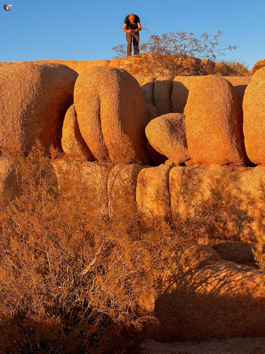 Jumbo Rocks Campground