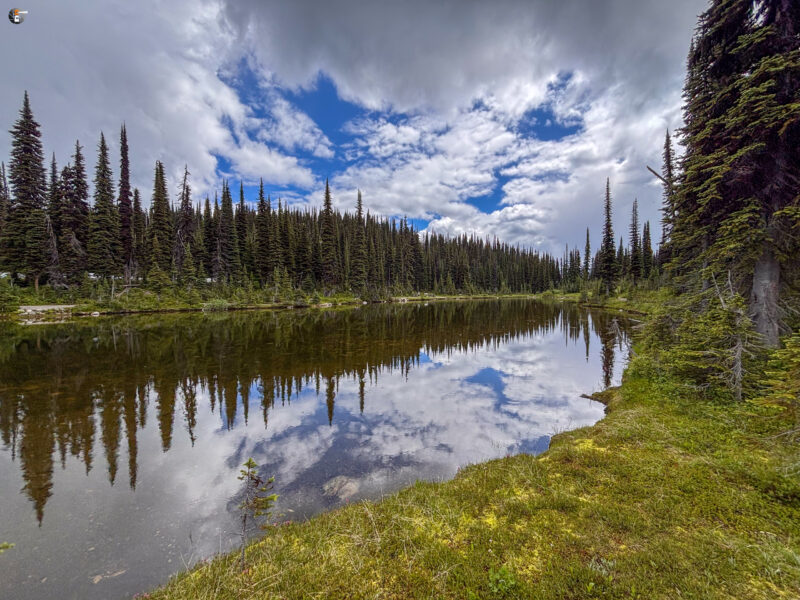Mount Revelstoke National Park