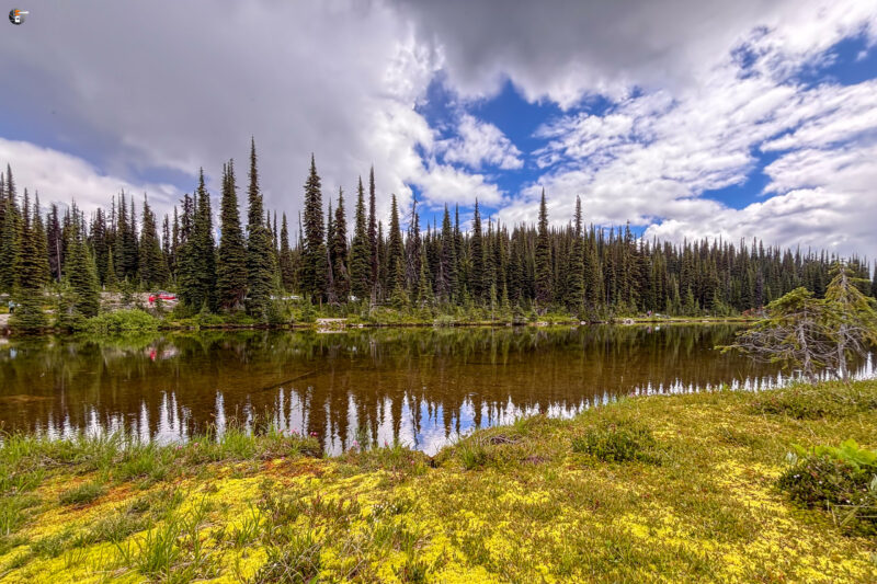 Mount Revelstoke National Park