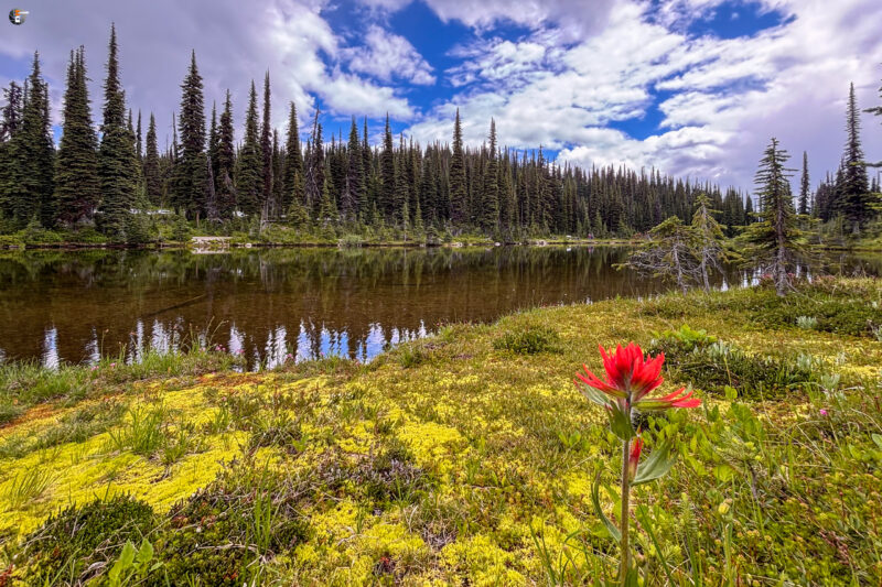 Mount Revelstoke National Park