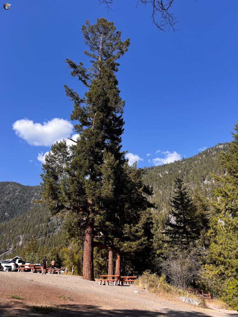 Manning Provincial Park