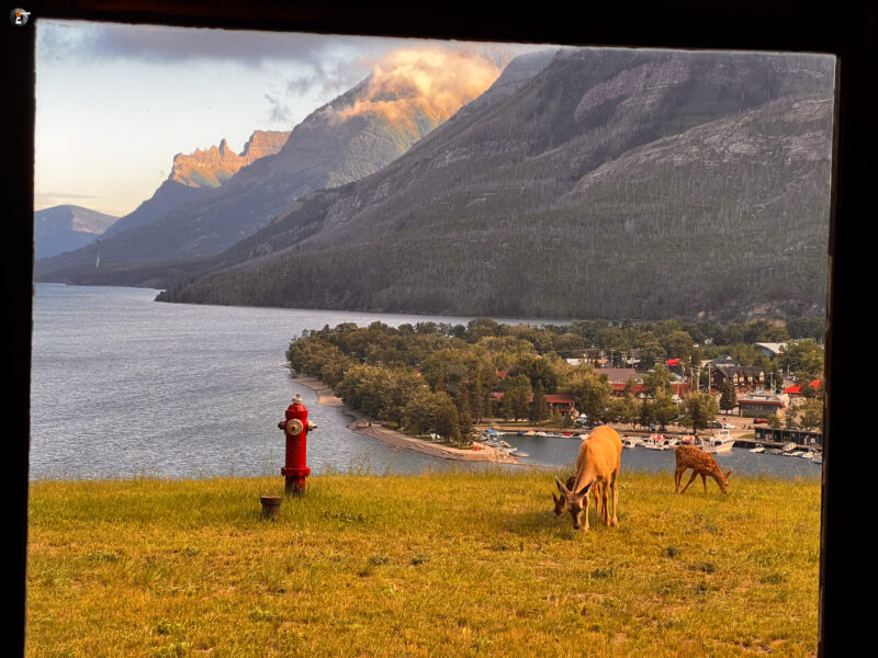 Prince of Wales Hotel